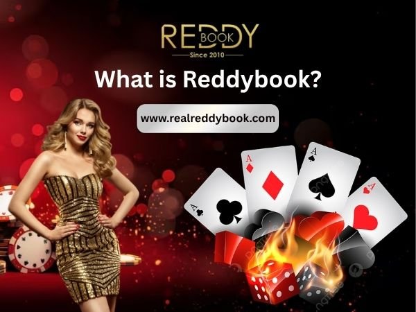 What Is Reddybook